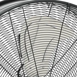 vidaXL Trommelventilator 77 cm Bodenventilator Schwarz