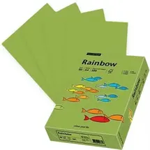 Papyrus Kopierpapier Rainbow 88042607, A4, 80g/qm, hellgrün, 500 Blatt,