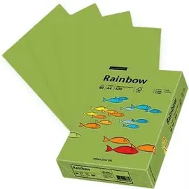 Papyrus Kopierpapier Rainbow 88042607, A4, 80g/qm, hellgrün, 500 Blatt,