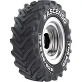 ASCENSO 600/65 R38 159D TDR650