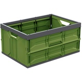 mondex Faltbox 45LT, 54 x 37,5 x 28 cm, verschiedene Farben Neofrenr