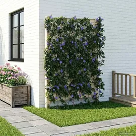 vidaXL Trellis mit Spike 99 x 6 x 165 cm Weiß