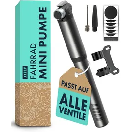 Aaron Pocket One Mini Fahrrad Pumpe - Grau