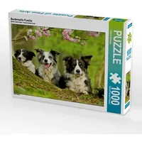 Calvendo Bordercollie Familie (Puzzle)