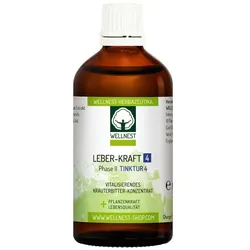 Leber-Kraft 4