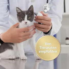 Felisept Family Comfort Set Diffusor + Flakon 45 ml