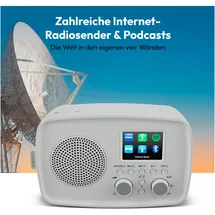 Medion LIFE IRE-1 grau