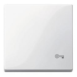 Merten Wippe für Kennzeichnung Schlüssel, System M (polarweiß glänzend)