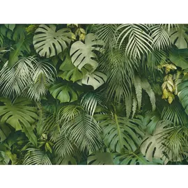 A.S. Création Vliestapete Dschungelmotiv 0,26 x 10 m 372802 Gold/Grün/Weiß