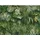 A.S. Création Vliestapete Dschungelmotiv 0,26 x 10 m 372802 Gold/Grün/Weiß