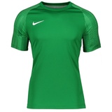 Nike Academy Trikot grün / dunkelgrün