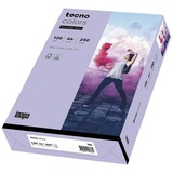 Inapa tecno colors A4 120 g/m2 250 Blatt violett