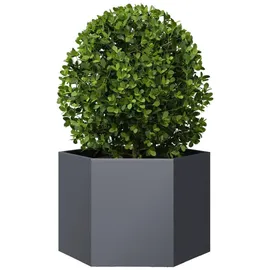 vidaXL Pflanzkübel 69 x 60 x 45 cm Anthrazit