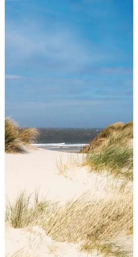 DM-WIN Duschmeister Duschrückwand Motiv Nordsee - Duschkabine