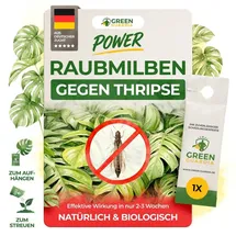 green guardia Raubmilben gegen Thripse Insektenvernichter 1 Tüte