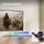 Hisense 58A6S 58" UHD 4K Smart TV