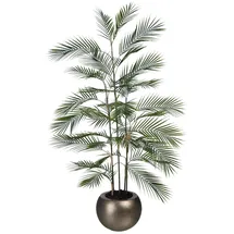 aplanta Künstliche Bergpalme - Nolte | 140 cm