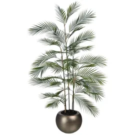 aplanta Künstliche Bergpalme - Nolte | 140 cm
