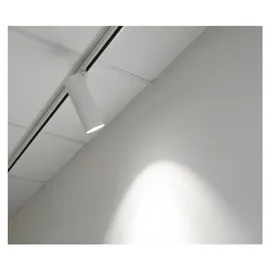 Brumberg Leuchten LED-Schienenstrahler 930, weiß 88393173