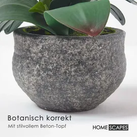 Homescapes KUNSTBLUME Orchidee weiß-pink im Deko-Topf, 52 cm