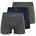 Retro Boxer XL