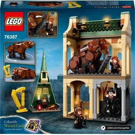 LEGO Harry Potter Hogwarts: Begegnung mit Fluffy 76387