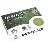 Clairefontaine Recyclingpapier Evercolor lindgrün DIN A4 80 g/qm 500 Blatt