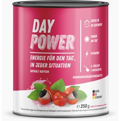 DayPower Pulver (250 g)