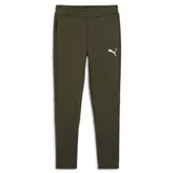 Puma Herren Jogginghose Evostripe