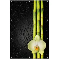 Wallario Sichtschutzzaunmatten Grüne Orchidee mit Bambus auf schwarz - Regentropfen gelb 100 cm x 150 cm