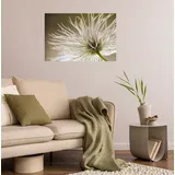 Queence »Klara« Selbstklebend, kinderleichte Anbringung