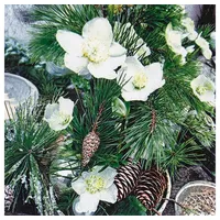 Home fashion Home Fashion®, Winter Rose, Lunch-Servietten aufgefaltetes Maß
