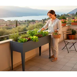 Westmann Vedura M 30 x 100 x 80 cm Anthrazit