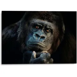 Platinum Alu-Dibond-Druck »Gorilla«, 1, (1 St.), Joachim G. Pinkawa Platinum Farbe Bild(er): schwarz