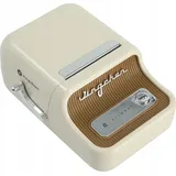 Niimbot B21 Pro Tragbarer Bluetooth-Etikettendrucker |
