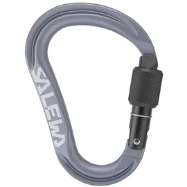 Salewa Ortles HMS M Karabiner Grau