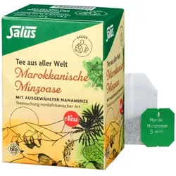 Salus Marokkanische Minzoase Teemischung bio (15Btl)