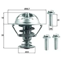 Mahle Thermostat, Kühlmittel