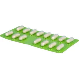 Fructaid Kapseln 30 St.
