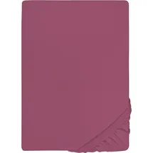 Castell Spannbettlaken Jersey 90 x 190- 100 x 200 cm brombeer