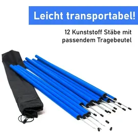Procyon Agility Set 11 cm Blau