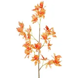 Kunstorchidee Künstlicher Zweig Odontoglossum Orchidee BELANIA, orange-gelb, 75cm Orchidee (Orchidee odontoglossum), artplants orange
