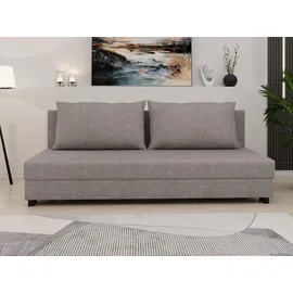 Homesy Schlafcouch mit Bettkasten 2-Sitzer Grau