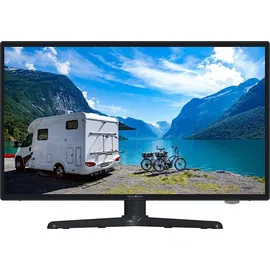 Reflexion LDDW19iSB+ 19" LED HD-Ready Camping Smart TV
