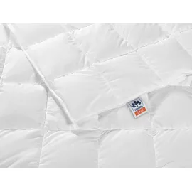 IRISETTE Nora medium