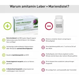 Active Bio Life Science Gmbh Amitamin Mariendistel+Leber Kapseln