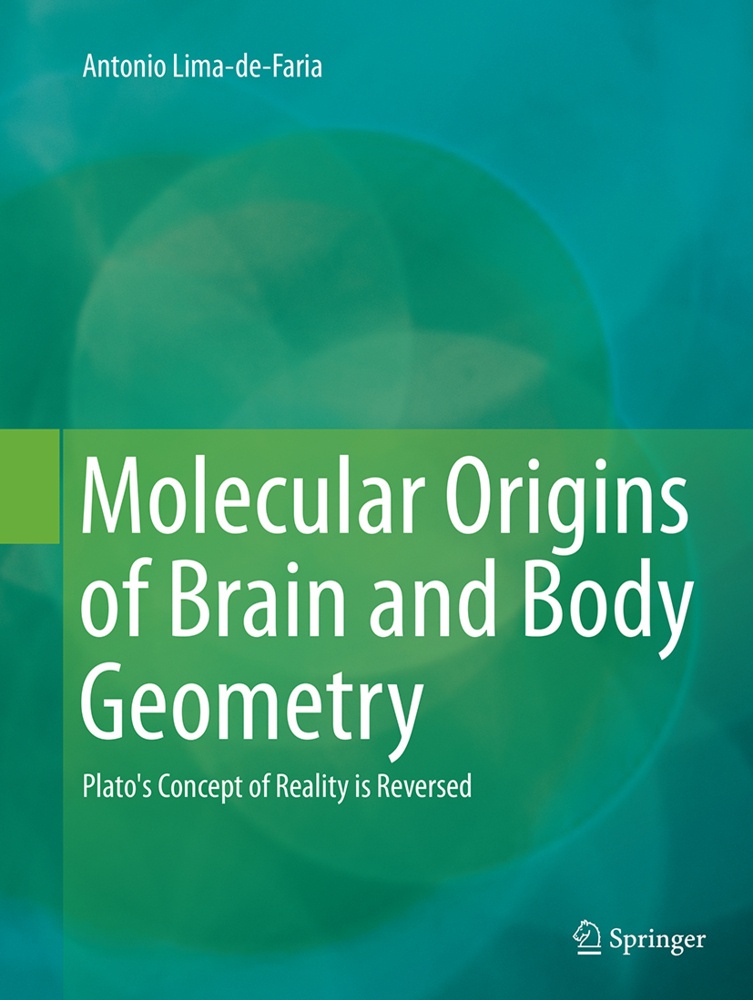 Molecular Origins Of Brain And Body Geometry - Antonio Lima-de-Faria  Kartoniert (TB)