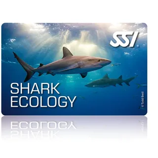 Shark Ecology - SSI Specialty - Online Tauchkurs