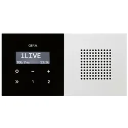 Gira 2280112 Unterputz-Radio RDS Flächenschal