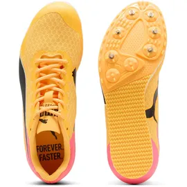 Puma evoSPEED Star 9 Kinder Leichtathletikschuhe, orange, Größe 38